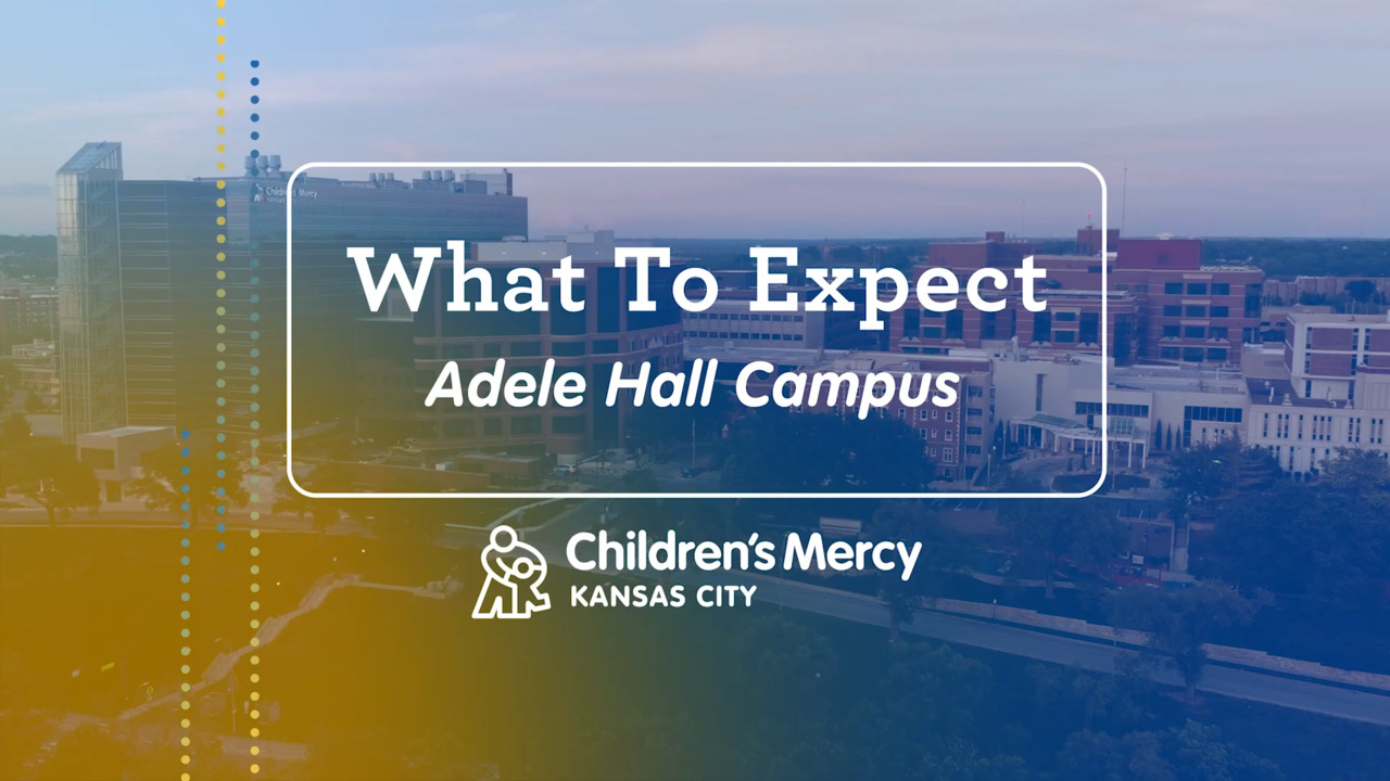 What to Expect - Adele Hall