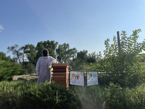 A person wearing beekeeping equipment stands next to a stack of wooden beehives.