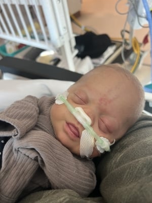A close-up photo of a newborn baby with a nasal cannula for oxygen support. The baby is wearing a gray knitted sweater and is resting on a green cushion.