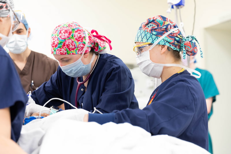 Two female clinicians in masks and brightly colored head coverings work on a patient in an operation room.