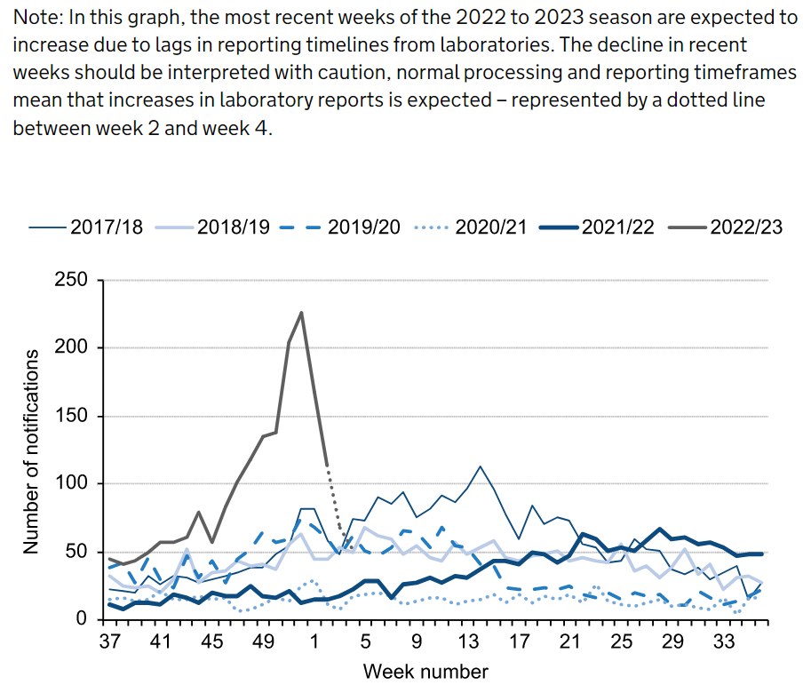 graph of iGAS infection rates in UK