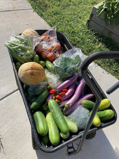 A wagon full of produce harvested from the Children's Mercy Community Garden.