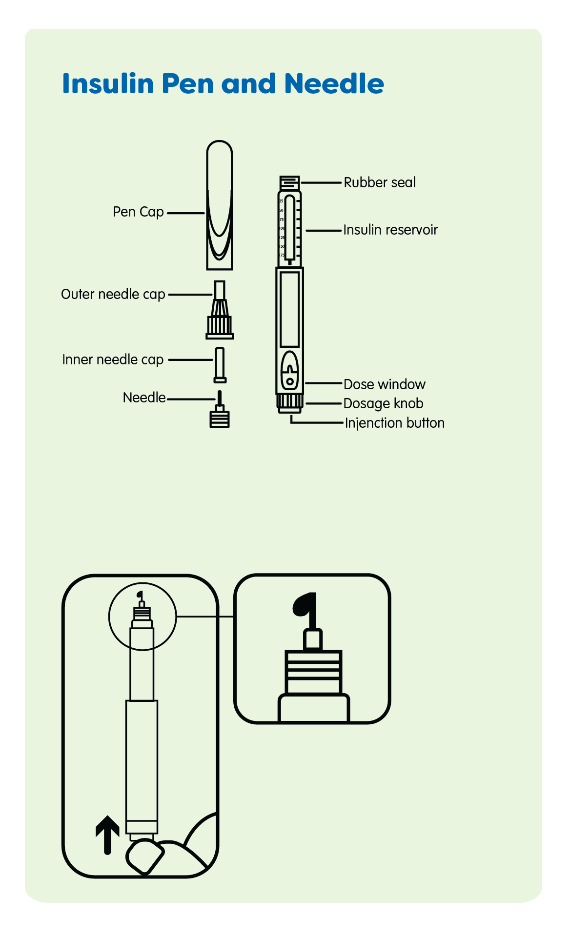 Graphic of different parts of an insulin pen and needle 