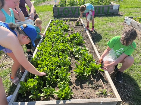 A group of women and young girls work together in the Children's Mercy Community Garden