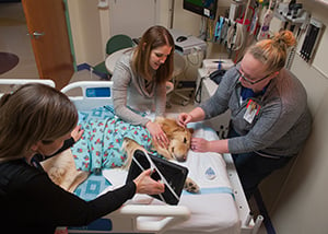 The EMU tech cleans spots on Hope's head at Children's Mercy.