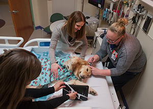 An EMU tech marks spots on Hope's head in the EMU at Children's Mercy.