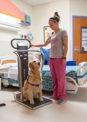 Hope stands on a scale in the EMU at Children's Mercy.