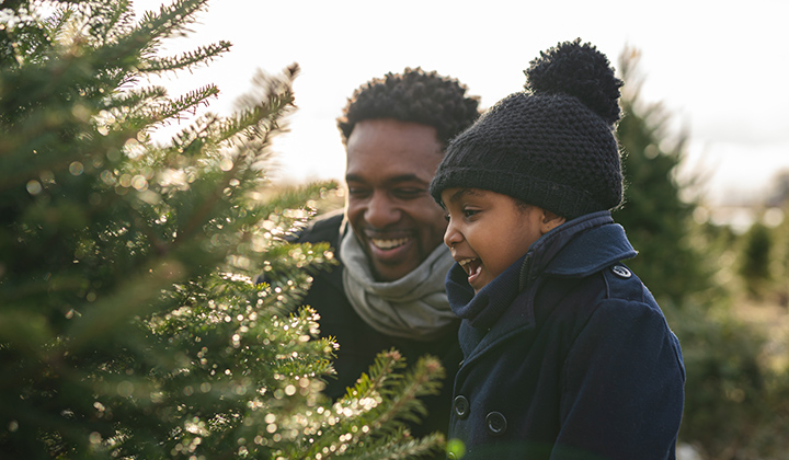 Dad and young son look at tree in Christmas tree farm.