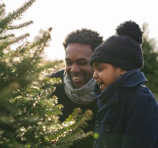 Dad and young son look at tree in Christmas tree farm.