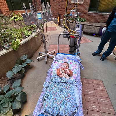 An infant in a mobile hospital cot has been wheeled outdoors into a courtyard. She stares up at the plants in the raised garden bed by her. Her blankets are purple and blue, and there are two stands with all of her IV bags and medical equipment behind her. On the right side of the picture, we can see the lower half of a nurse’s body in navy blue scrubs and white gloves, but her face is out of frame.  