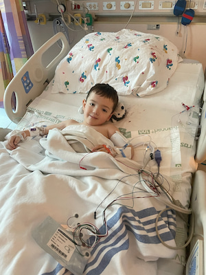 Koda lying in a hospital bed connected to monitoring leads and medical equipment, covered with a blanket and resting in a patient room.