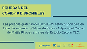 Small image of version 2 social media JPG file with the heading that reads: Pruebas del COVID-19 disponibles.