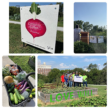 Collage of four photos of Children's Mercy Community Garden. Photos include a sign that reads, "Community Garden," a person in a bee keeper suit standing next to bee hives, a wagon full of vegetables, and a group of volunteers standing together and smiling.